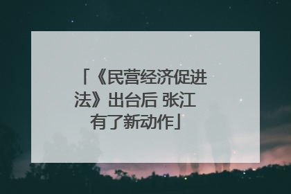 《民营经济促进法》出台后 张江有了新动作