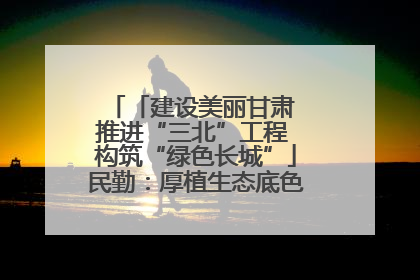 「建设美丽甘肃 推进“三北”工程 构筑“绿色长城”」民勤：厚植生态底色 筑牢绿色屏障