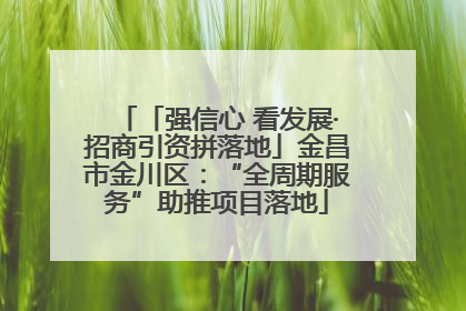「强信心 看发展·招商引资拼落地」金昌市金川区：“全周期服务”助推项目落地
