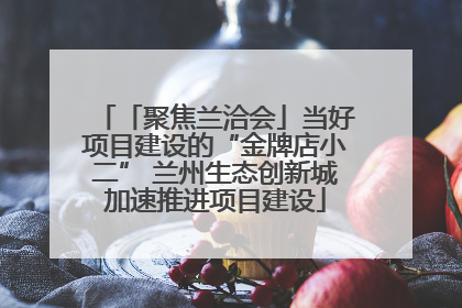 「聚焦兰洽会」当好项目建设的“金牌店小二” 兰州生态创新城加速推进项目建设