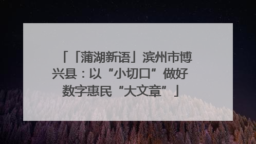 「蒲湖新语」滨州市博兴县：以“小切口”做好数字惠民“大文章”
