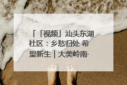 「视频」汕头东湖社区：乡愁归处 希望新生｜大美岭南·百村焕新记