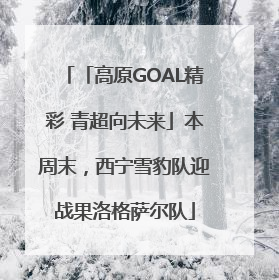 「高原GOAL精彩 青超向未来」本周末，西宁雪豹队迎战果洛格萨尔队