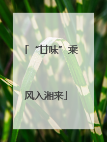 “甘味”乘风入湘来