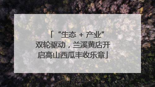 “生态 + 产业”双轮驱动，兰溪黄店开启高山西瓜丰收乐章