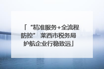 “精准服务+全流程防控” 莱西市税务局护航企业行稳致远