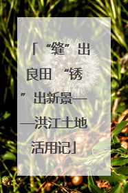 “缝”出良田 “锈”出新景——洪江土地活用记