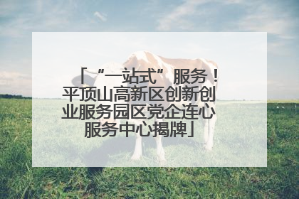 “一站式”服务！平顶山高新区创新创业服务园区党企连心服务中心揭牌
