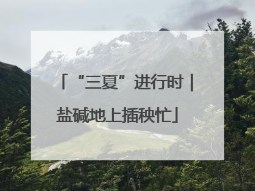 “三夏”进行时｜盐碱地上插秧忙
