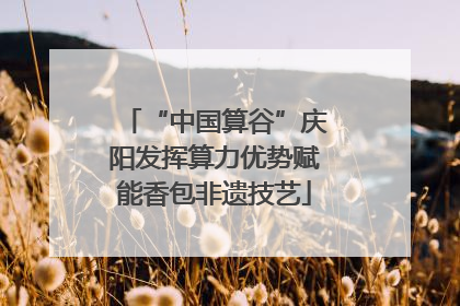 “中国算谷”庆阳发挥算力优势赋能香包非遗技艺