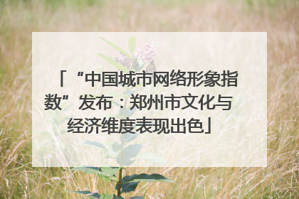 “中国城市网络形象指数”发布：郑州市文化与经济维度表现出色
