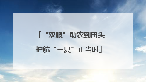 “双服”助农到田头 护航“三夏”正当时