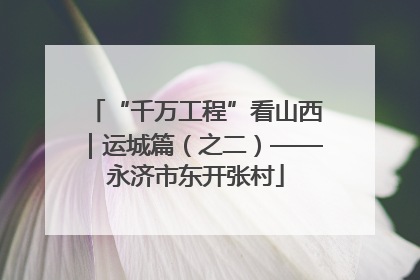 “千万工程”看山西｜运城篇（之二）——永济市东开张村