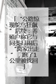 “公路惊现鸵鸟狂飙”后续：养殖户称它与同类打闹后“离家出走”，跑了1公里被找回
