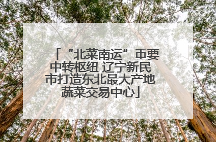 “北菜南运”重要中转枢纽 辽宁新民市打造东北最大产地蔬菜交易中心