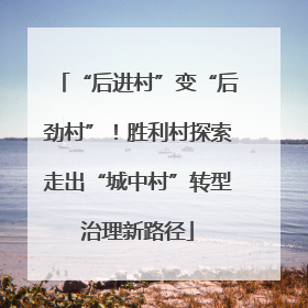 “后进村”变“后劲村”！胜利村探索走出“城中村”转型治理新路径