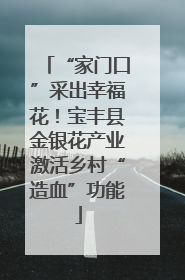 “家门口”采出幸福花！宝丰县金银花产业激活乡村“造血”功能