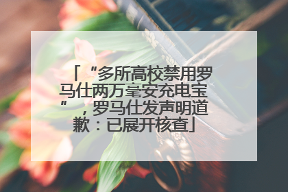 “多所高校禁用罗马仕两万毫安充电宝”，罗马仕发声明道歉：已展开核查