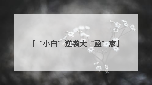 “小白”逆袭大“盈”家