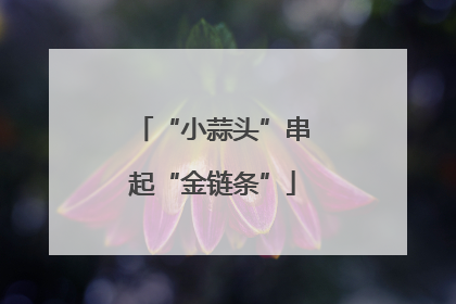 “小蒜头”串起“金链条”