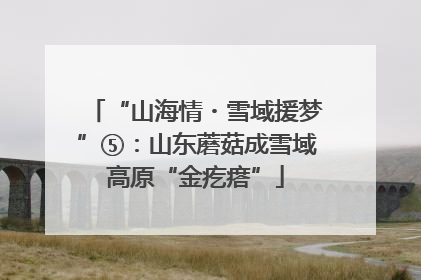 “山海情・雪域援梦”⑤：山东蘑菇成雪域高原“金疙瘩”