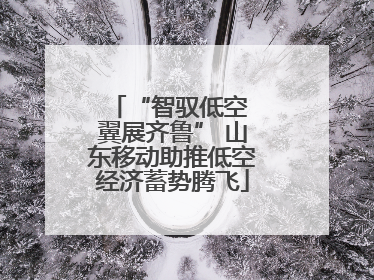 “智驭低空 翼展齐鲁” 山东移动助推低空经济蓄势腾飞