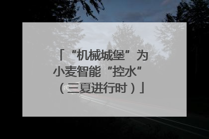 “机械城堡”为小麦智能“控水”（三夏进行时）