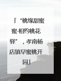 “桃缘甜蜜蜜·相约桃花驿”，孝南杨店镇早蜜桃开园