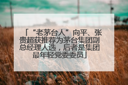 “老茅台人”向平、张贵超获推荐为茅台集团副总经理人选，后者是集团最年轻党委委员