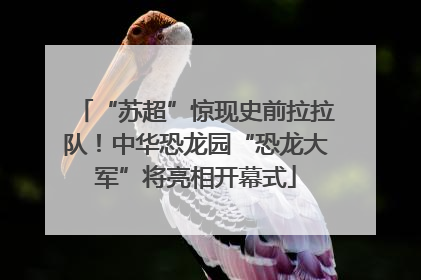 “苏超”惊现史前拉拉队！中华恐龙园“恐龙大军”将亮相开幕式