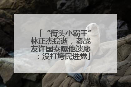 “街头小霸王”林正杰癌逝，老战友许国泰曝他遗愿：没打垮民进党