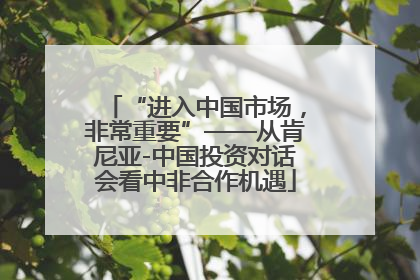 “进入中国市场，非常重要”——从肯尼亚-中国投资对话会看中非合作机遇