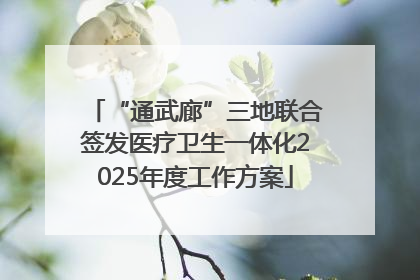 “通武廊”三地联合签发医疗卫生一体化2025年度工作方案