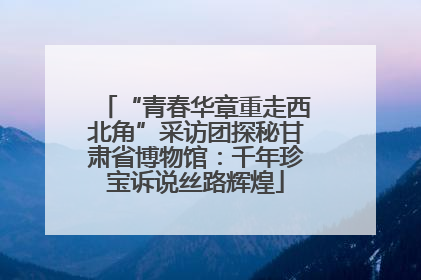 “青春华章重走西北角”采访团探秘甘肃省博物馆：千年珍宝诉说丝路辉煌