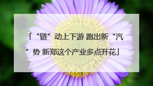 “链”动上下游 跑出新“汽”势 新郑这个产业多点开花