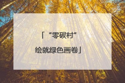 “零碳村” 绘就绿色画卷