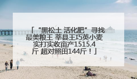“黑松土 活化肥”寻找最美粮王 莘县王巧英小麦实打实收亩产1515.4斤 超对照田144斤！