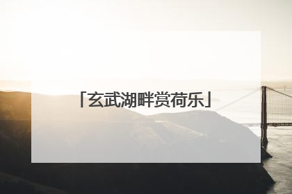 玄武湖畔赏荷乐
