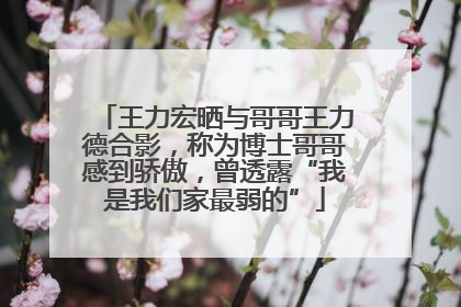 王力宏晒与哥哥王力德合影，称为博士哥哥感到骄傲，曾透露“我是我们家最弱的”