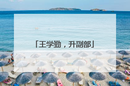 王学勤，升副部