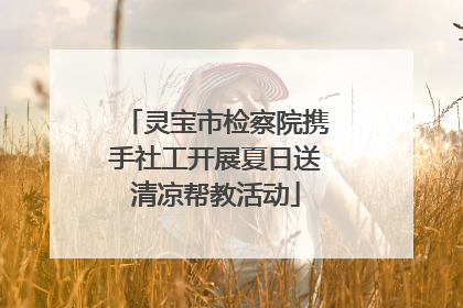 灵宝市检察院携手社工开展夏日送清凉帮教活动