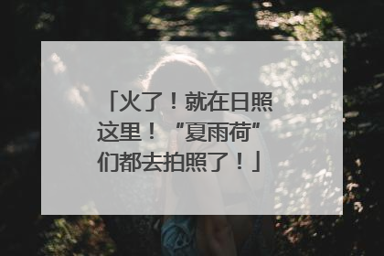 火了！就在日照这里！“夏雨荷”们都去拍照了！