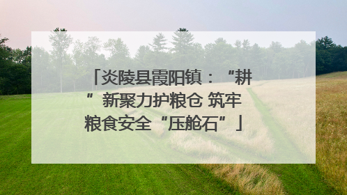 炎陵县霞阳镇：“耕”新聚力护粮仓 筑牢粮食安全“压舱石”