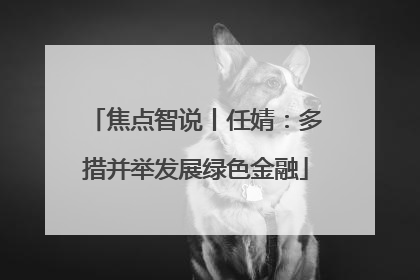 焦点智说丨任婧：多措并举发展绿色金融
