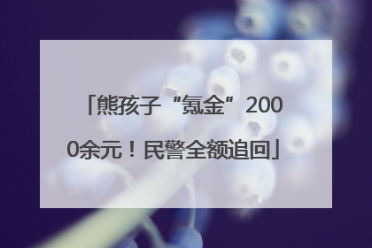 熊孩子“氪金”2000余元！民警全额追回