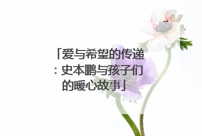 爱与希望的传递：史本鹏与孩子们的暖心故事