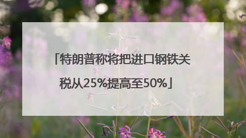 特朗普称将把进口钢铁关税从25%提高至50%