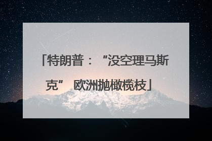 特朗普：“没空理马斯克” 欧洲抛橄榄枝