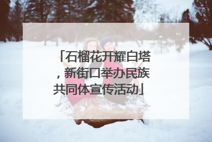石榴花开耀白塔，新街口举办民族共同体宣传活动