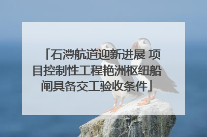 石澧航道迎新进展 项目控制性工程艳洲枢纽船闸具备交工验收条件